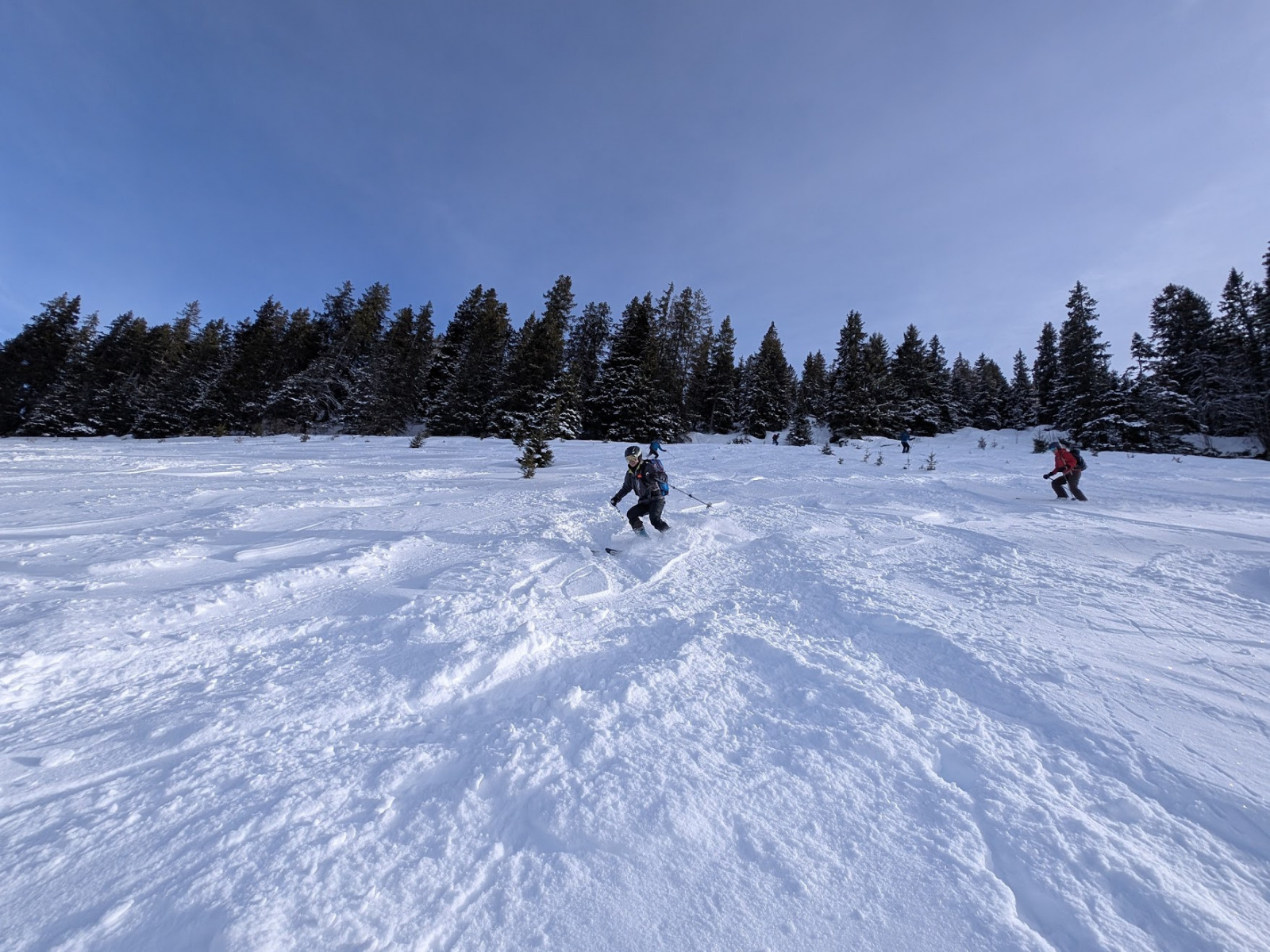 Klicke auf die Grafik für eine vergrößerte Ansicht  Name: PXL_20260131_132636139.jpg Ansichten: 0 Größe: 747,2 KB ID: 3365579