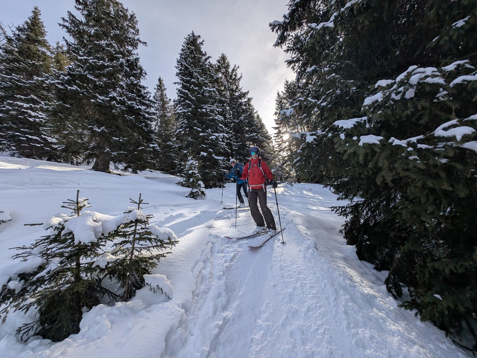 Klicke auf die Grafik für eine vergrößerte Ansicht  Name: PXL_20260131_132217664.jpg Ansichten: 0 Größe: 917,1 KB ID: 3365580