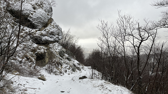 Klicke auf die Grafik für eine vergrößerte Ansicht

Name: IMG_9293.jpg
Ansichten: 0
Größe: 928,5 KB
ID: 3365713