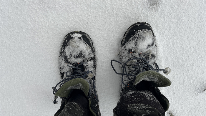 Klicke auf die Grafik für eine vergrößerte Ansicht

Name: IMG_9295.jpg
Ansichten: 0
Größe: 568,0 KB
ID: 3365714