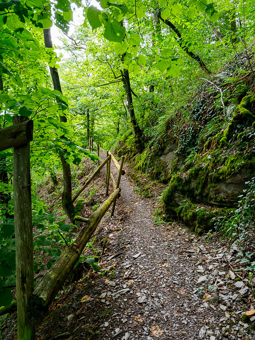 Klicke auf die Grafik für eine vergrößerte Ansicht

Name: Bild-12.jpg
Ansichten: 0
Größe: 1,37 MB
ID: 3365768