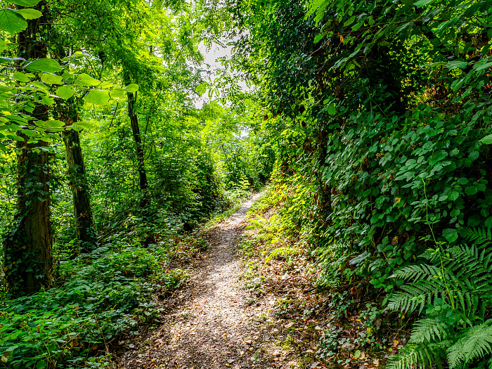 Klicke auf die Grafik für eine vergrößerte Ansicht

Name: Bild-15.jpg
Ansichten: 0
Größe: 1,56 MB
ID: 3365773