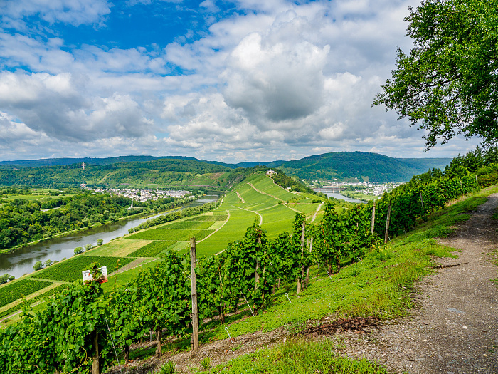 Klicke auf die Grafik für eine vergrößerte Ansicht

Name: Bild-17.jpg
Ansichten: 0
Größe: 1,06 MB
ID: 3365774