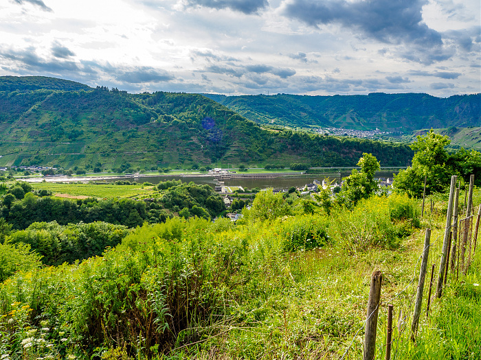 Klicke auf die Grafik für eine vergrößerte Ansicht

Name: Bild-42.jpg
Ansichten: 0
Größe: 1,21 MB
ID: 3365807