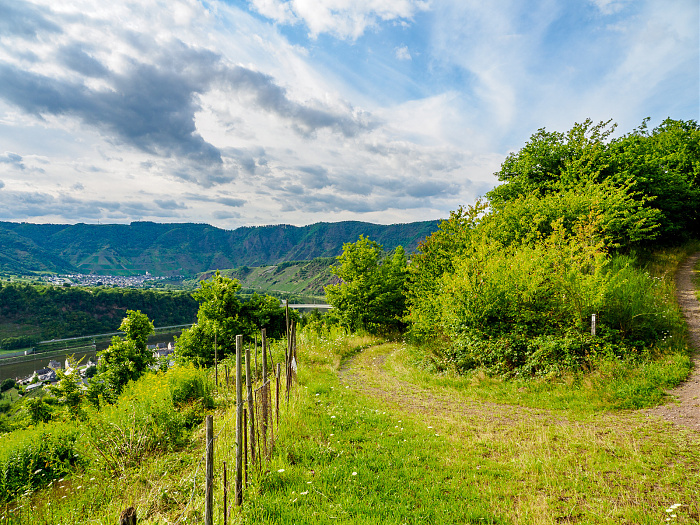 Klicke auf die Grafik für eine vergrößerte Ansicht

Name: Bild-43.jpg
Ansichten: 0
Größe: 1,10 MB
ID: 3365811