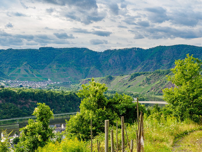 Klicke auf die Grafik für eine vergrößerte Ansicht

Name: Bild-44.jpg
Ansichten: 0
Größe: 1,03 MB
ID: 3365805