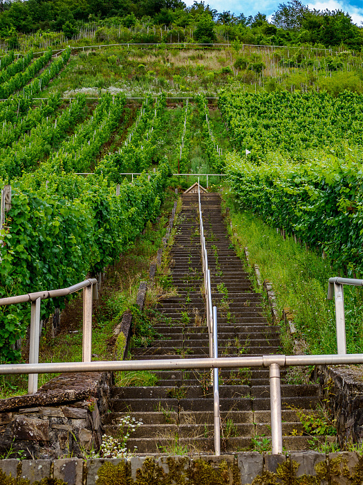 Klicke auf die Grafik für eine vergrößerte Ansicht

Name: Bild-48.jpg
Ansichten: 0
Größe: 1,29 MB
ID: 3365808