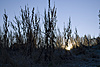 DSC_7939.jpg