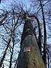Dsc06230k.jpg