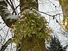 DSC00426.jpg