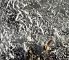 DSC06279_k.jpg