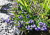 P1070061.JPG