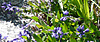 P1070061.JPG