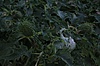 PB130175.jpg