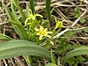 DSCN1269.jpg