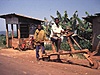 image01.jpg