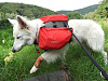 DSCF0529.jpg