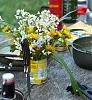 DSC_2787-2.jpg