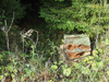 PA248362b.png
