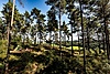 Naturlager_Mechernich_by_Nils_Noell-11.jpg