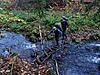DSC06626.jpg