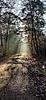 IMG_20201105_101648.jpg