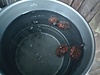 IMG_20210124_081514.jpg
