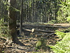 DSCN8591.JPG