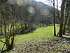 DSCN8598.JPG