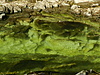 DSCN8614.JPG