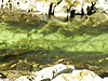 DSCN8617.JPG