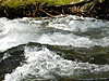 DSCN8626.JPG