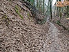 IMG_20210207_154356.jpg