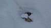 DSC01357.JPG