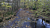 DSC06532-1.JPG