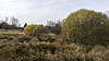 DSC06543-1.JPG