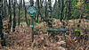 DSC06541-1.JPG