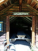 IMG_20200612_114830.jpg