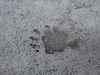 DSC06703.JPG
