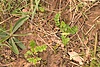 DSCF1559_02.jpg