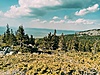 IMG_20210518_202201.jpg