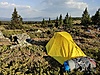 IMG_20210516_184655.jpg