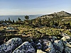 IMG_20210518_191250.jpg