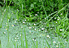 fetch?id=3048594&amp;d=1621849443.jpg