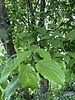 51220966252_d93b10deae_c.jpg