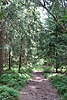 image_54845.jpg
