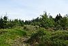 image_54849.jpg