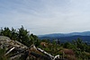 image_54853.jpg