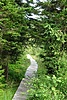 image_54855.jpg