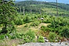 image_54856.jpg